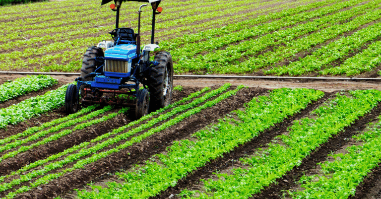 Agri convivial
