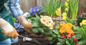 Devis vite-un-jardinier.fr gratuit