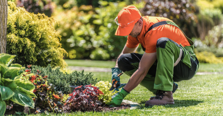 Jutier jardin : bien choisir, protéger et acheter le meilleur modèle en 2026 Jutier jardin
