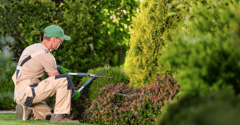 Aménagement extérieur Brico Relax Com : idées simples pour un jardin moderne et agréable à vivre