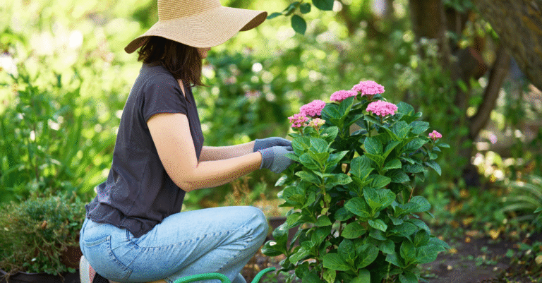 Formation LesFleurDuJardin jardinage : tout ce qu’il faut savoir avant de se lancer Formation LesFleurDuJardin jardinage