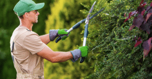 Formation LesFleurDuJardin jardinage
