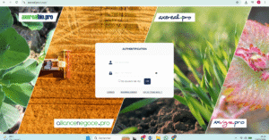 Axereal Pro
