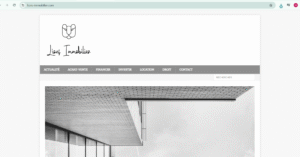 lions-immobilier.com