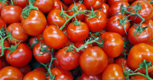calendrier plantation fruits legumes org