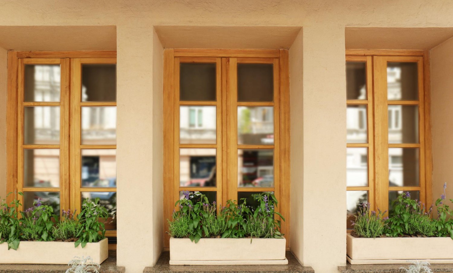 Fenêtres en bois modernes décorées de fleurs