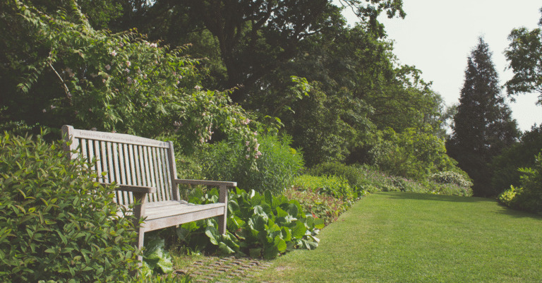 Jardin botanique saverne org : le blog incontournable pour réussir tous vos projets de jardin jardin botanique saverne org