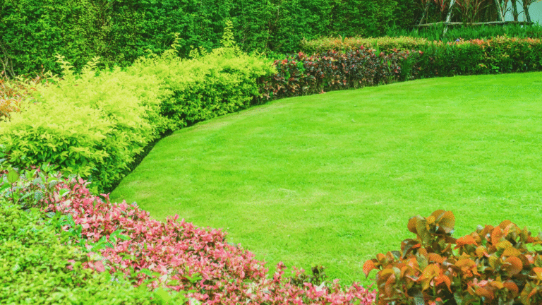 aménagement jardin guidemaisonjardin.fr