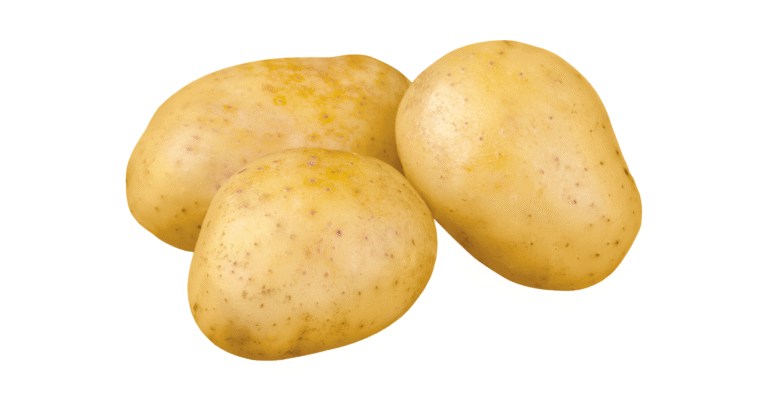 pomme de terre colomba