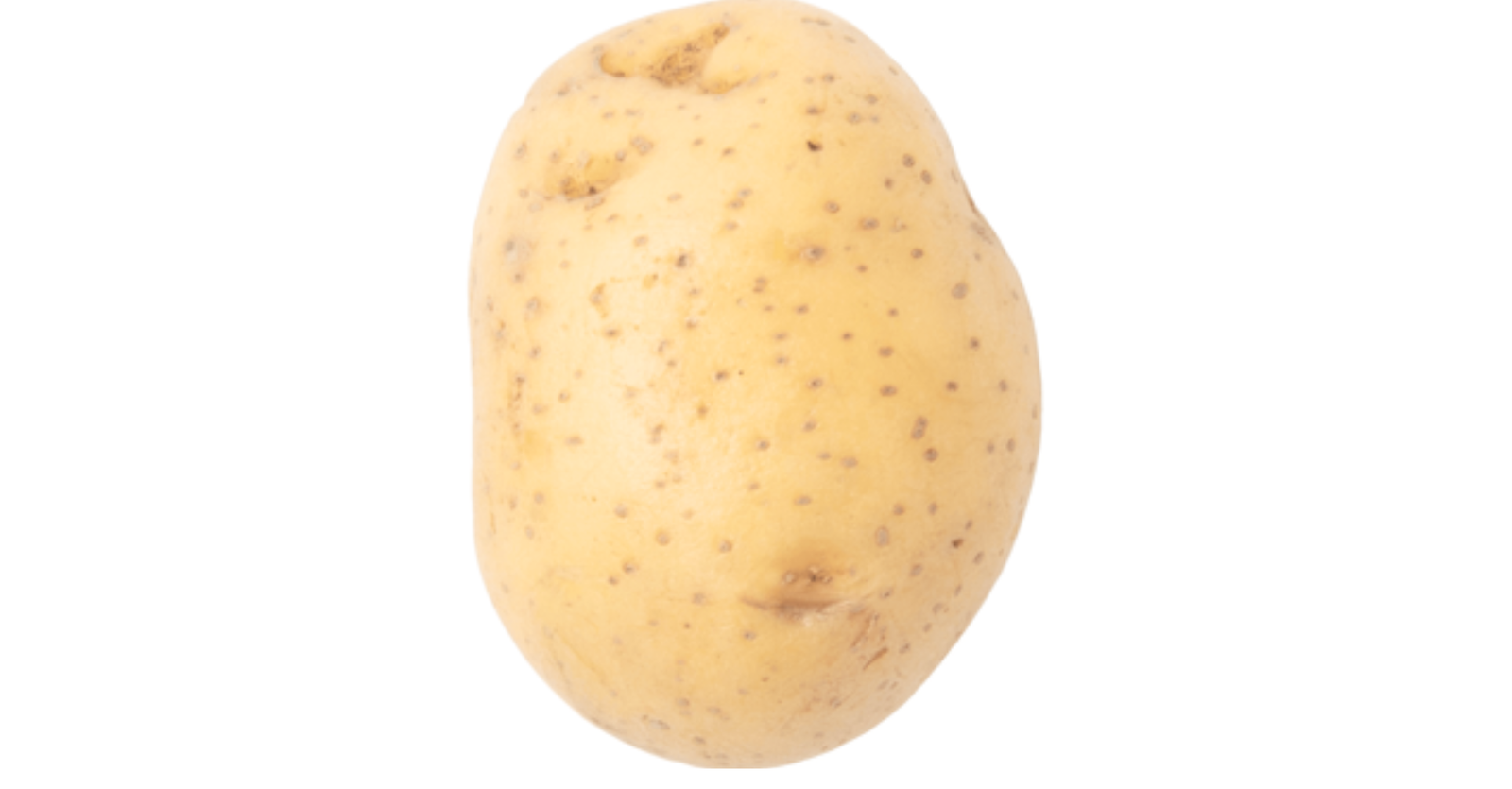 pomme de terre colomba